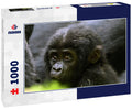 Mountain gorilla, Bwindi National Park, Uganda 1000pc Puzzle