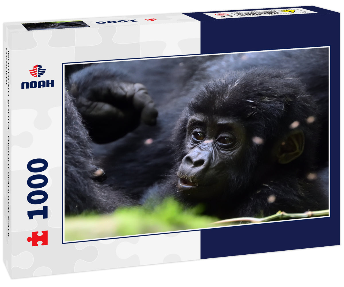 Mountain gorilla, Bwindi National Park, Uganda 1000pc Puzzle