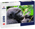 Mountain gorilla, Bwindi National Park, Uganda 1000pc Puzzle