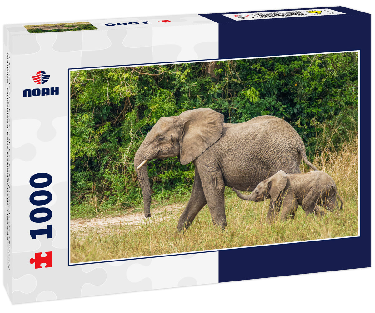 Female Elephant with Baby – 1000 Piece Wildlife Puzzle
