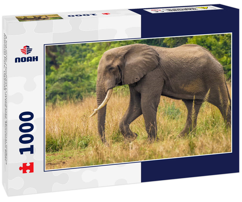 Big Male Elephant at the Nile – 1000 Piece Wildlife Puzzle