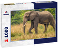 Big Male Elephant at the Nile – 1000 Piece Wildlife Puzzle