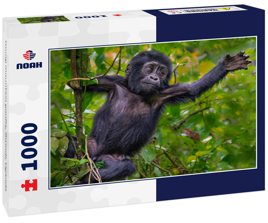 Young mountain gorilla, Bwindi, Uganda 1000pc Puzzle