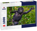 Young mountain gorilla, Bwindi, Uganda 1000pc Puzzle