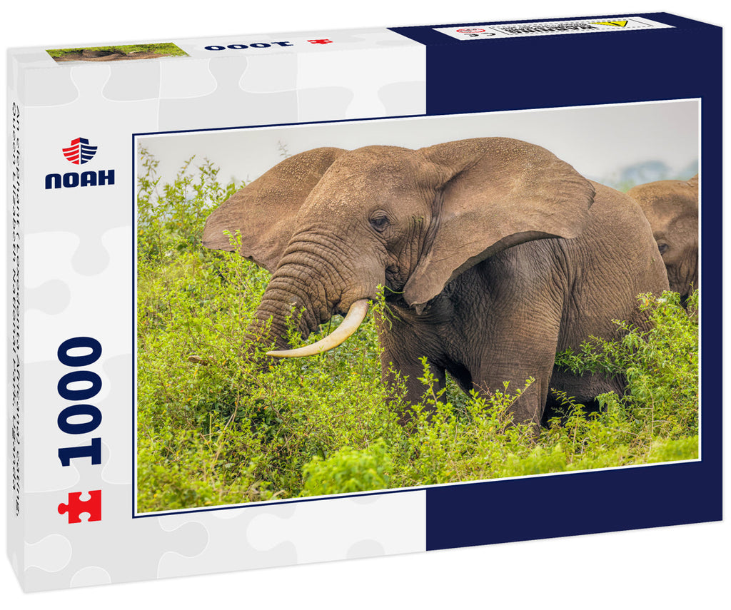 Elephant Eating – 1000 Piece Wildlife Puzzle