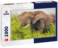 Elephant Eating – 1000 Piece Wildlife Puzzle