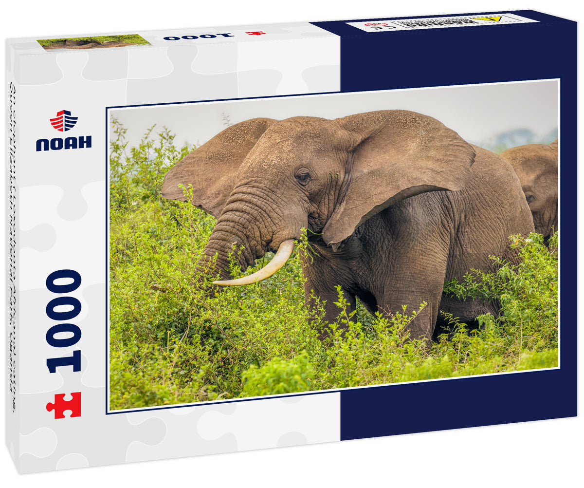 Elephant Eating – 1000 Piece Wildlife Puzzle