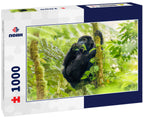Portrait of a baby mountain gorilla (Gorilla beringei beringei), Bwindi Impenetrable Forest National Park, Uganda 1000pc Puzzle