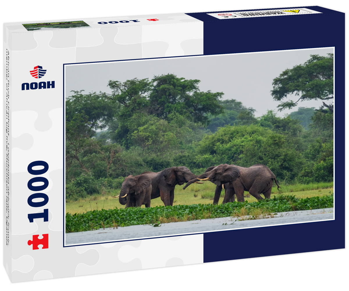 African Bush Elephant – 1000 Piece Wildlife Puzzle
