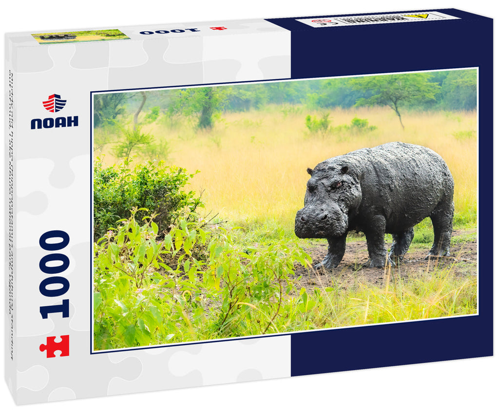 Muddy old hippo (Hippopotamus amphibius) standing out of mud, Lake Mburo national park, Uganda 1000pc Puzzle