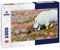 Mountain Goats on Mount Bierstadt in the Arapahoe National Fores, Colorado 1000pc Puzzle