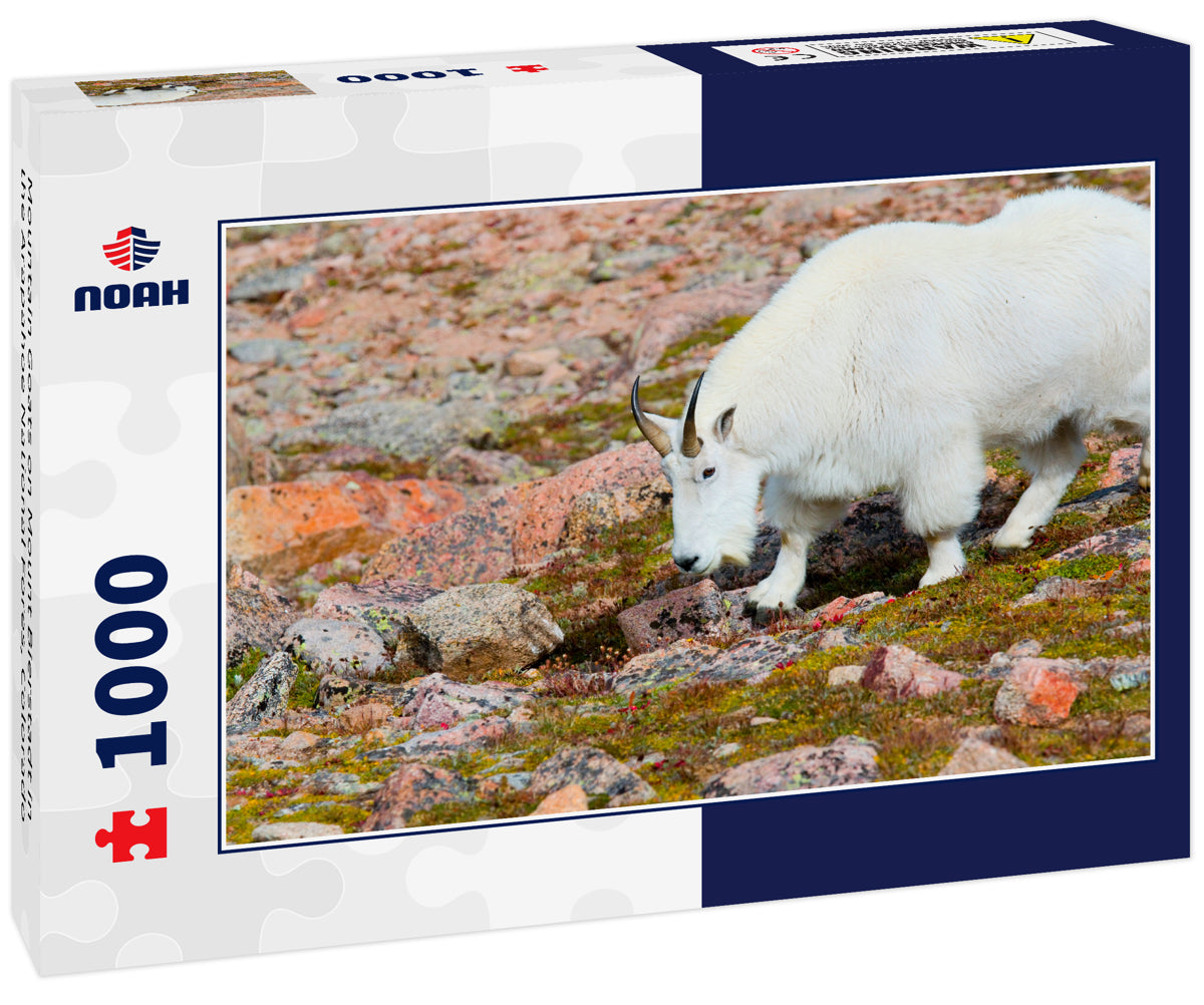 Mountain Goats on Mount Bierstadt in the Arapahoe National Fores, Colorado 1000pc Puzzle