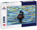 colorful wood duck drake swimming in the lake at sterne park in littleton, colorado 1000pc Puzzle