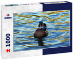 colorful wood duck drake swimming in the lake at sterne park in littleton, colorado 1000pc Puzzle