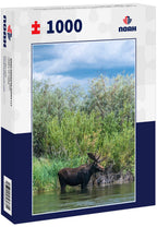 Bull moose wading in the Teton River, Driggs, Idaho 1000pc Puzzle