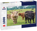 Cows in northern Indiana 1000pc Puzzle
