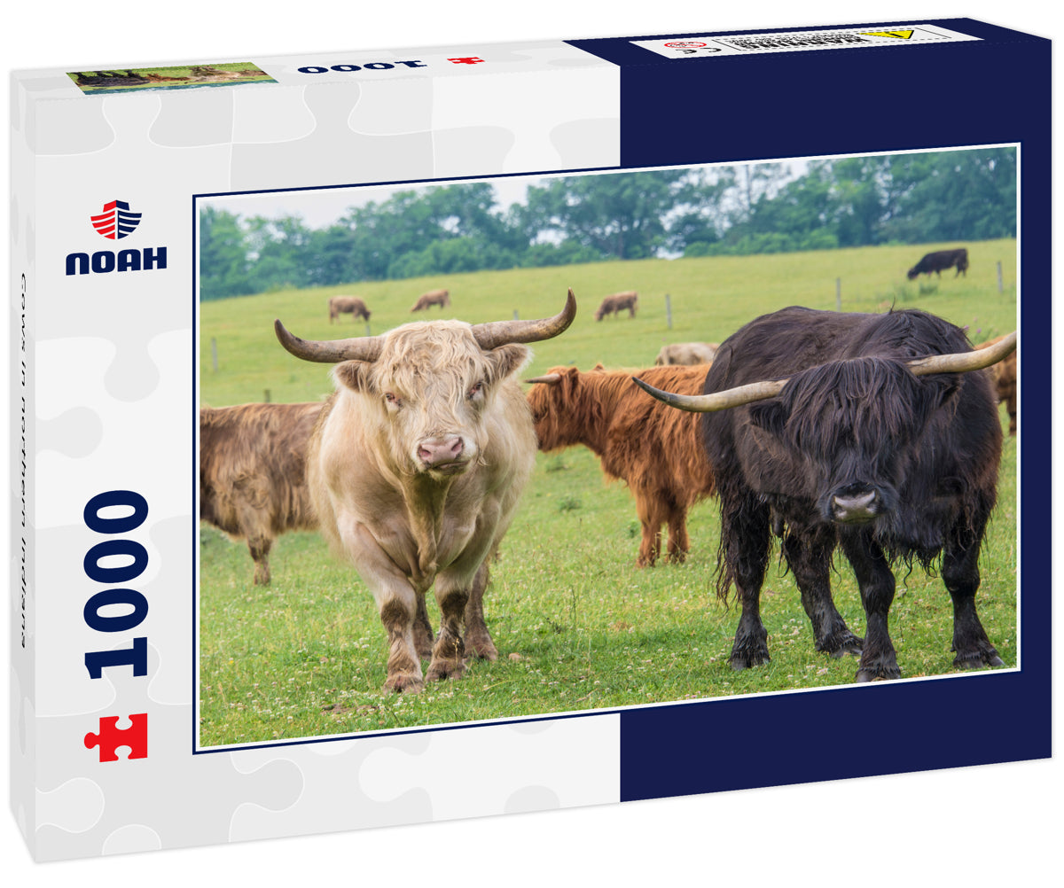 Cows in northern Indiana 1000pc Puzzle