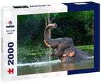 Elephant – 2000 Piece Adult Wildlife Puzzle