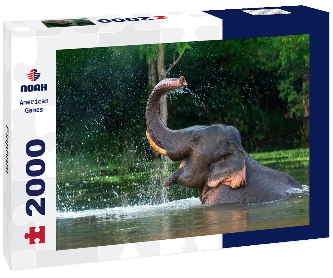 Elephant – 2000 Piece Adult Wildlife Puzzle