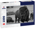 This impressive American Bison Portrait illustrates its sheer size and power. Photographed on the Kansas Maxwell Prairie Preserve 1000pc PuzzleBlack and White
