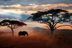 Wild African Elephant on the Savannah – 2000 Piece Adult Wildlife Puzzle