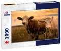 Cows in the sunset 1000pc Puzzle
