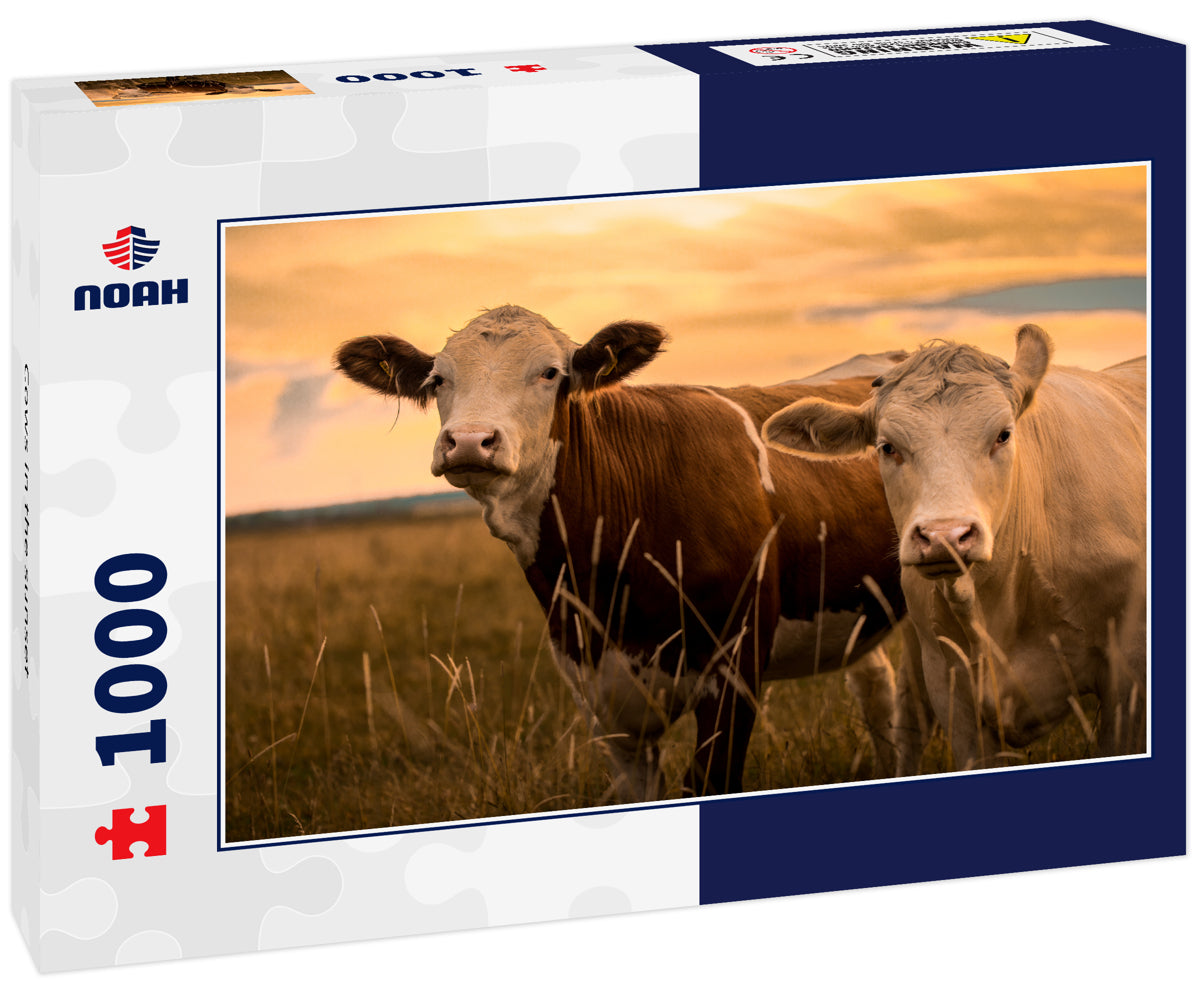 Cows in the sunset 1000pc Puzzle