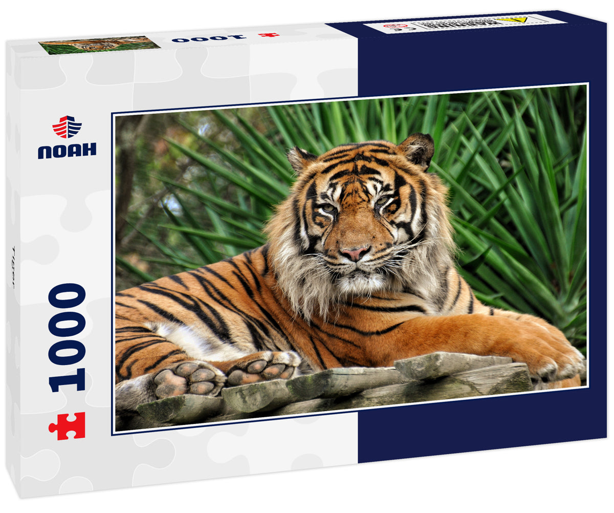 Tiger – 1000 Piece Wildlife Puzzle