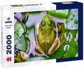 Frog near Mammoth Cave National Park 2000pc Puzzle