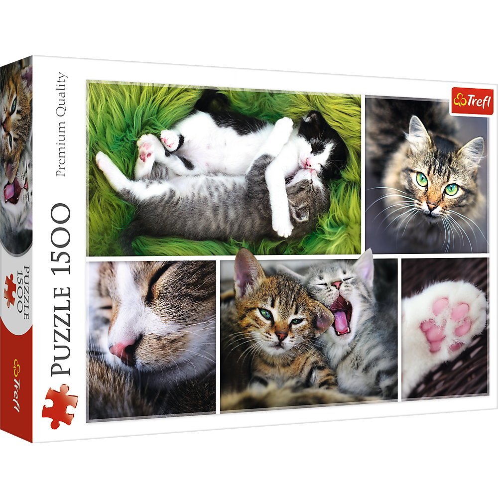 Cat & Kittens – 1500 Piece Adult Jigsaw Puzzle