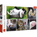 Cat & Kittens – 1500 Piece Adult Jigsaw Puzzle