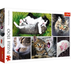 Cat & Kittens – 1500 Piece Adult Jigsaw Puzzle