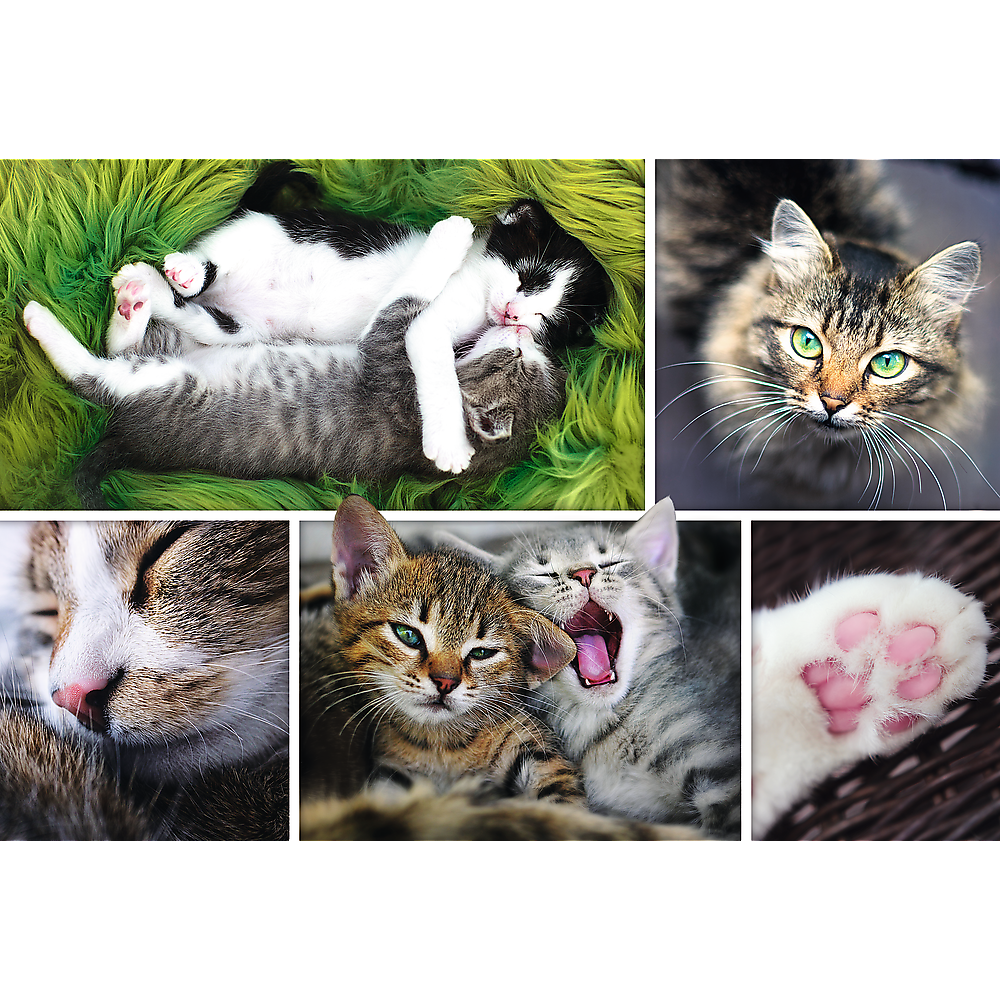 Cat & Kittens – 1500 Piece Adult Jigsaw Puzzle