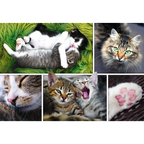 Cat & Kittens – 1500 Piece Adult Jigsaw Puzzle