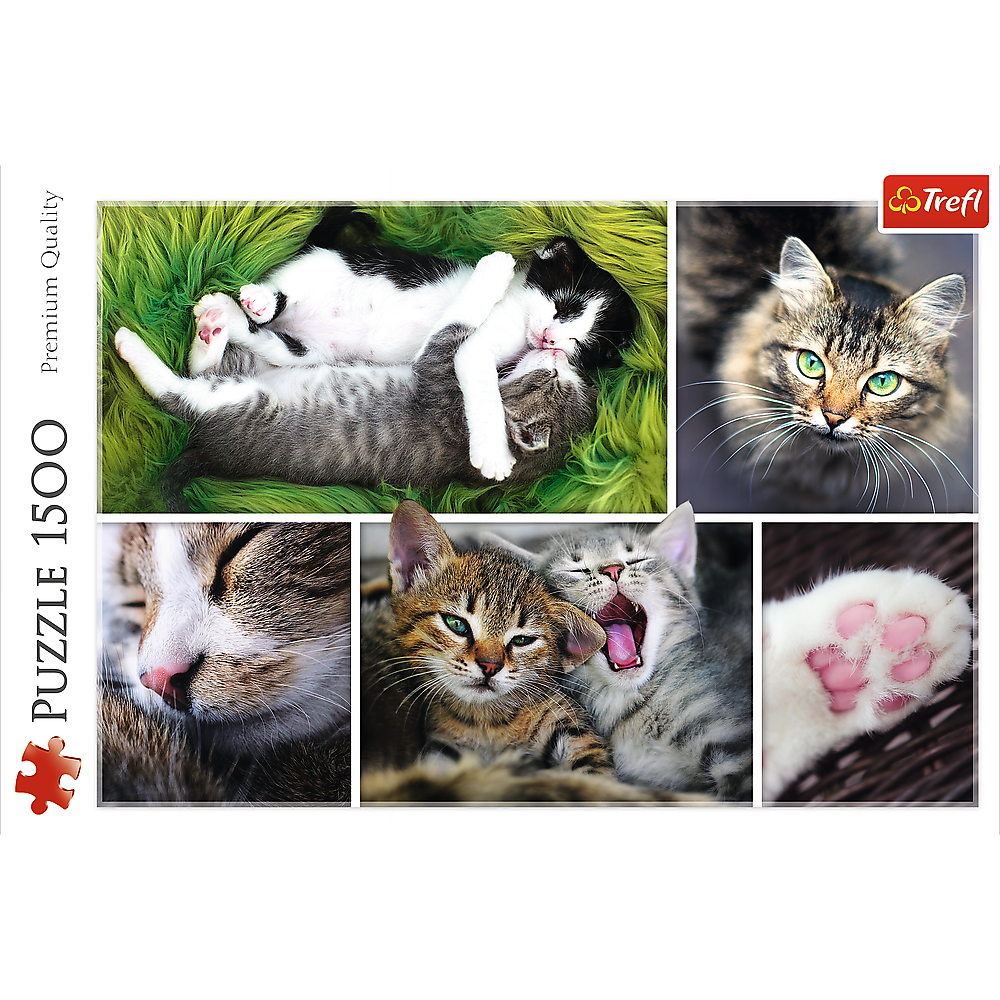 Cat & Kittens – 1500 Piece Adult Jigsaw Puzzle