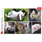 Cat & Kittens – 1500 Piece Adult Jigsaw Puzzle