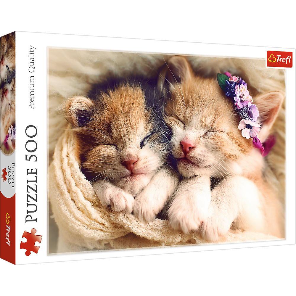 Sleeping Kittens - 500 Piece Jigsaw Puzzle