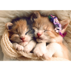 Sleeping Kittens - 500 Piece Jigsaw Puzzle