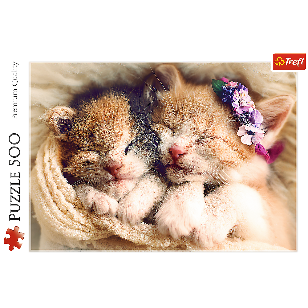 Sleeping Kittens - 500 Piece Jigsaw Puzzle