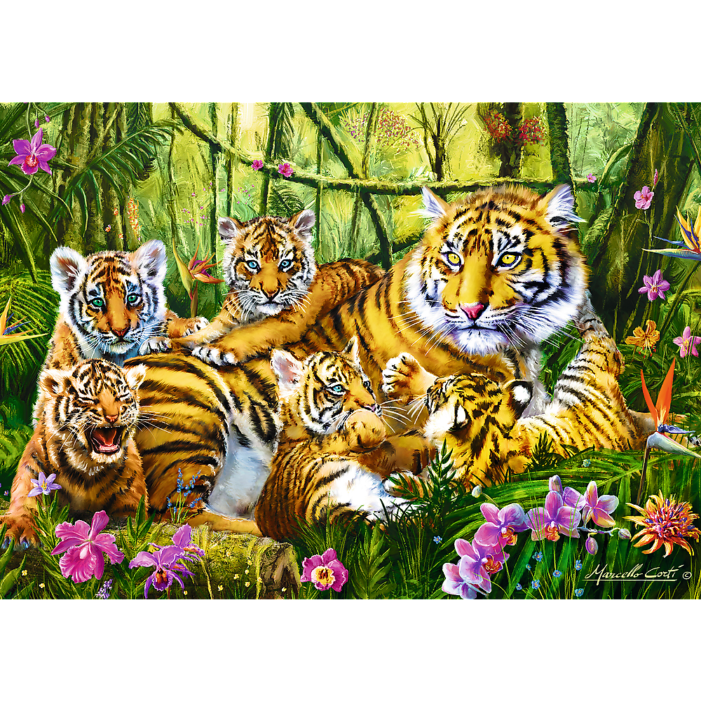 Family of Tigers - 500 Piece Jigsaw Puzzles