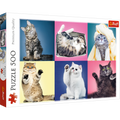 Kittens, Cat Collage – 500 Piece Jigsaw Puzzle