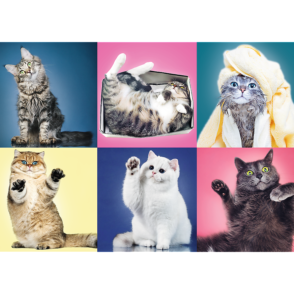 Kittens, Cat Collage – 500 Piece Jigsaw Puzzle