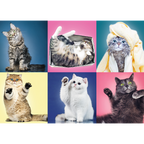 Kittens, Cat Collage – 500 Piece Jigsaw Puzzle