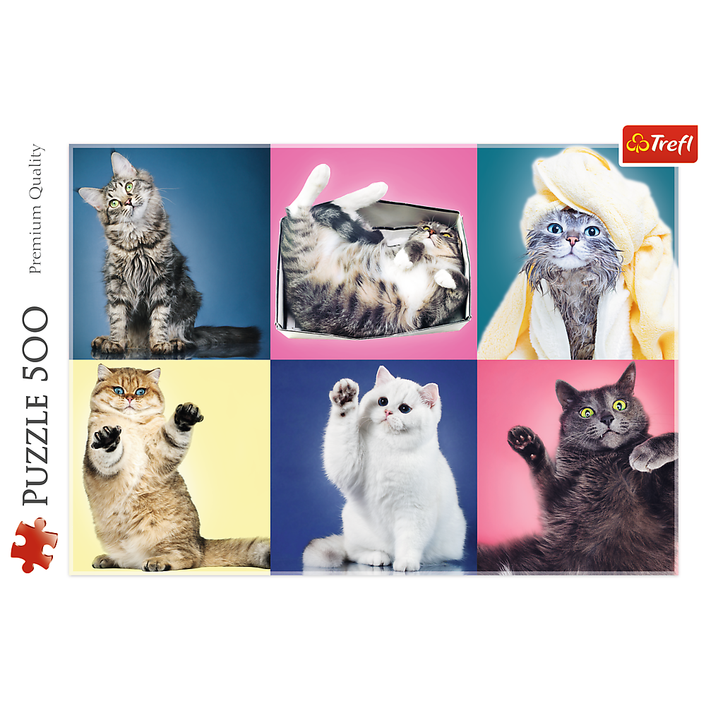 Kittens, Cat Collage – 500 Piece Jigsaw Puzzle