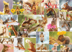 A Squirrel's Life – 500 Piece Jigsaw Puzzle