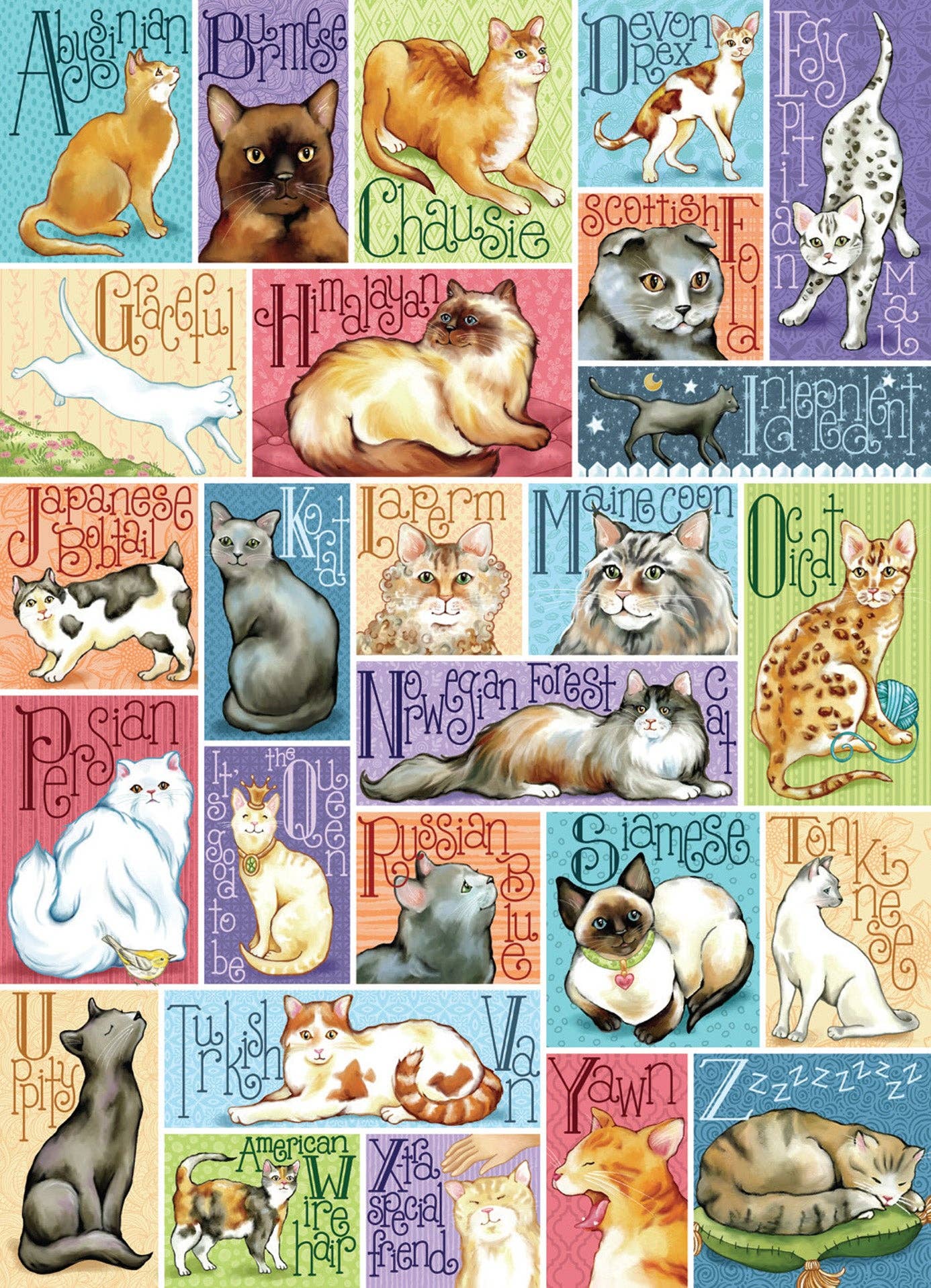 Alpha Cat – 1000 Piece Jigsaw Puzzle