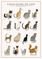 Cats Puzzle – 500 Piece Tube with Vintage Illustrations