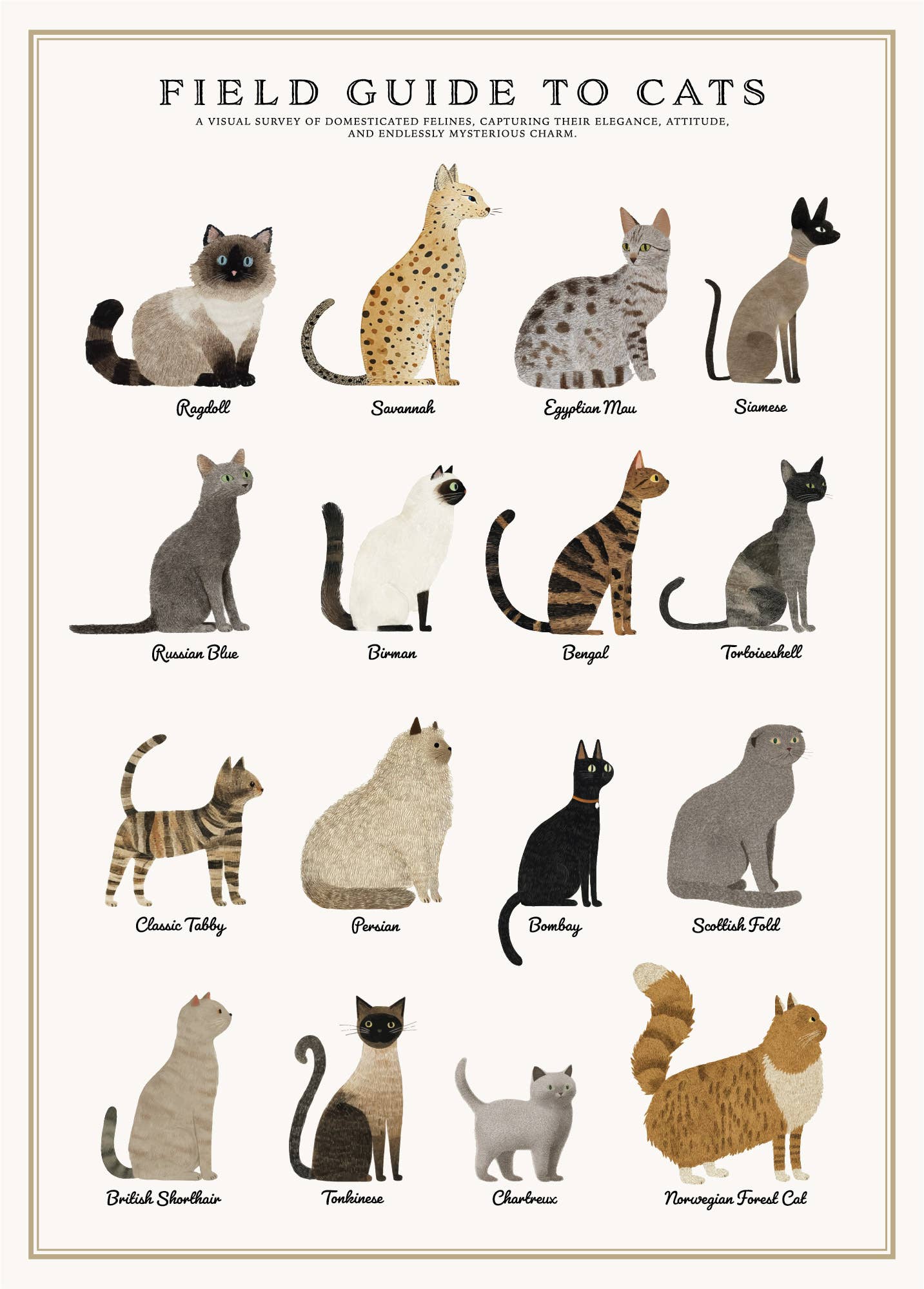 Cats Puzzle – 500 Piece Tube with Vintage Illustrations