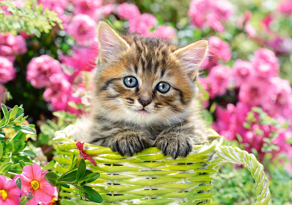 Kitten in Flower Garden - 500 Piece Jigsaw Puzzle