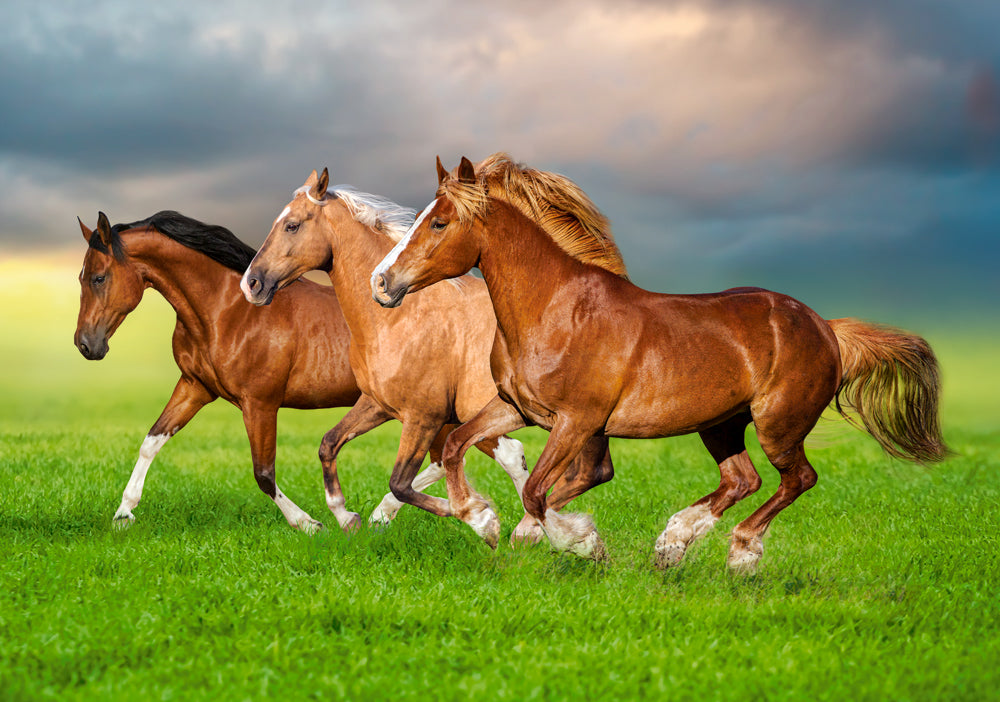 Horses in Spring - 500 Piece Jigsaw Puzzle